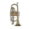 GEWA Bb-Kornett CR651 Ambition